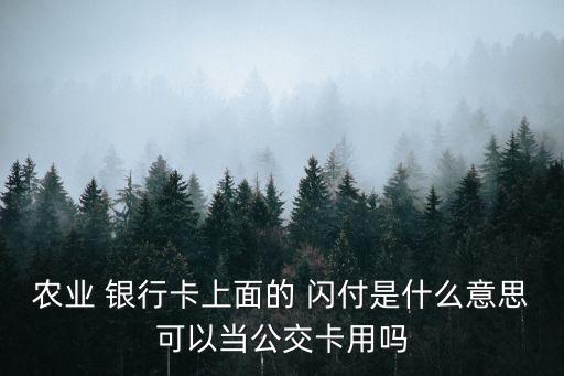 農業(yè) 銀行卡上面的 閃付是什么意思可以當公交卡用嗎