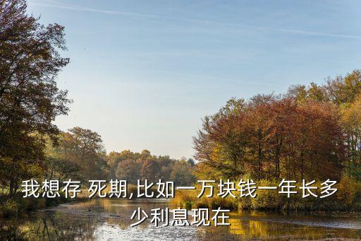 我想存 死期,比如一萬(wàn)塊錢一年長(zhǎng)多少利息現(xiàn)在