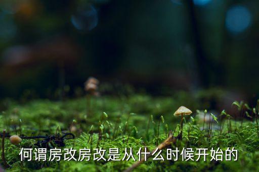 何謂房改房改是從什么時(shí)候開(kāi)始的