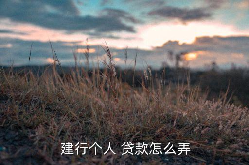  建行個人 貸款怎么弄