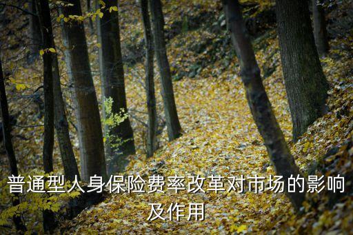 普通型人身保險費(fèi)率改革對市場的影響及作用