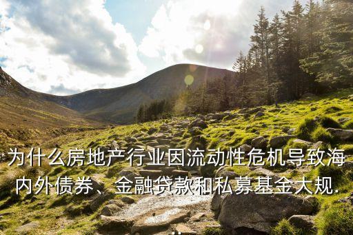 為什么房地產(chǎn)行業(yè)因流動性危機導(dǎo)致海內(nèi)外債券、金融貸款和私募基金大規(guī)...