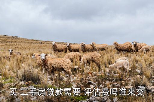 買 二手房貸款需要 評(píng)估費(fèi)嗎誰(shuí)來(lái)交