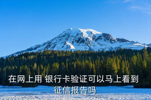 在網(wǎng)上用 銀行卡驗(yàn)證可以馬上看到 征信報告嗎