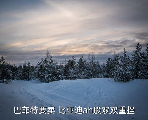 巴菲特要賣(mài) 比亞迪ah股雙雙重挫