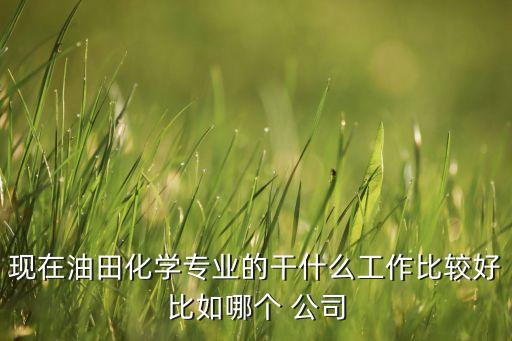 現在油田化學專業(yè)的干什么工作比較好比如哪個 公司