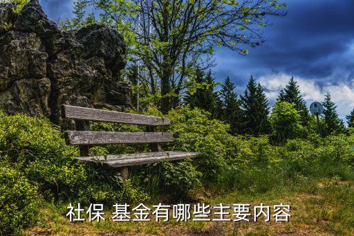 社保基金投資運(yùn)營(yíng)的原則,美國(guó)社?；鹜顿Y運(yùn)營(yíng)現(xiàn)狀