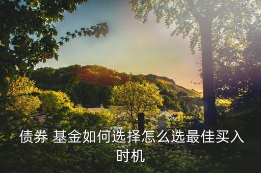  債券 基金如何選擇怎么選最佳買入時機(jī)
