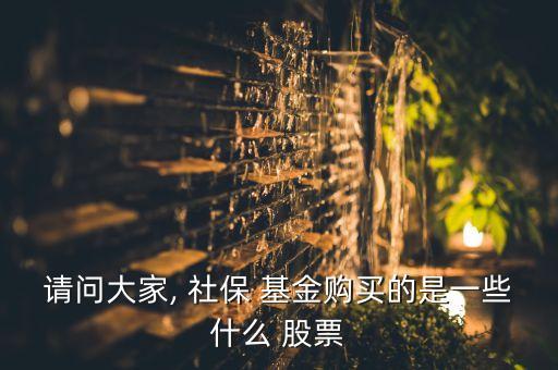 社保107基金持有的股票,2022年社?；鹬貍}股票