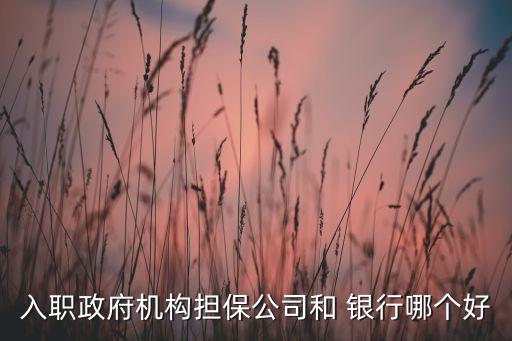 入職政府機(jī)構(gòu)擔(dān)保公司和 銀行哪個好
