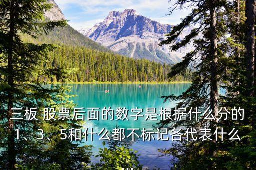 三板 股票后面的數(shù)字是根據(jù)什么分的1、3、5和什么都不標(biāo)記各代表什么...