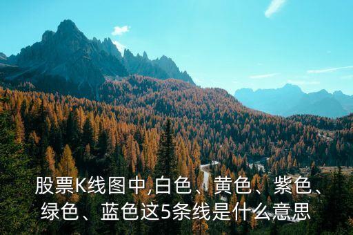  股票K線圖中,白色、黃色、紫色、綠色、藍色這5條線是什么意思