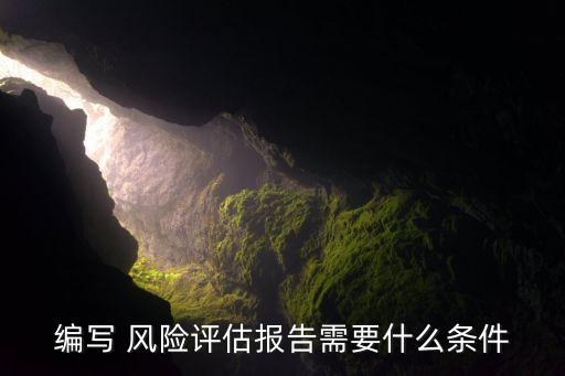 編寫 風(fēng)險(xiǎn)評(píng)估報(bào)告需要什么條件