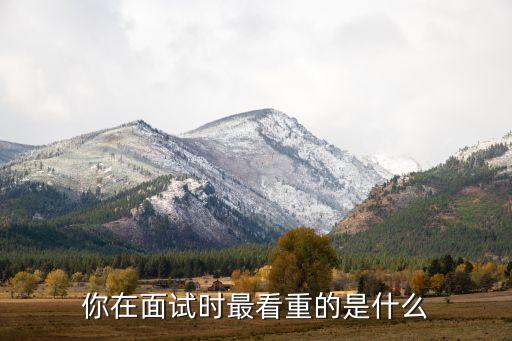 簡(jiǎn)要介紹本公司的業(yè)績(jī)和在同行中的聲譽(yù)