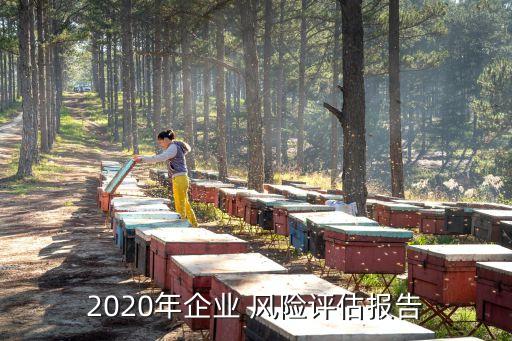 2020年企業(yè) 風(fēng)險(xiǎn)評(píng)估報(bào)告