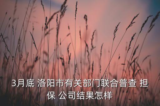 3月底 洛陽市有關部門聯(lián)合普查 擔保 公司結果怎樣