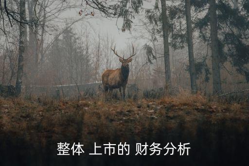 整體 上市的 財務分析