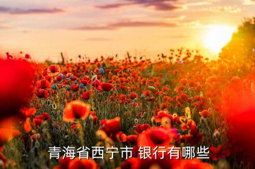 青海銀行社區(qū)銀行,社區(qū)銀行與一般銀行的區(qū)別