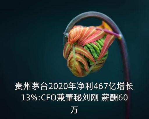 上市公司財務(wù)總監(jiān)薪酬