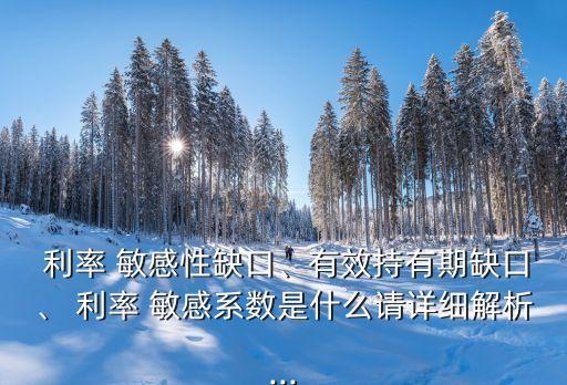  利率 敏感性缺口、有效持有期缺口、 利率 敏感系數(shù)是什么請詳細(xì)解析...