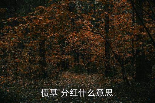 債基 分紅什么意思