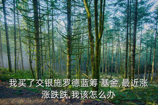 我買(mǎi)了交銀施羅德藍(lán)籌 基金,最近漲漲跌跌,我該怎么辦