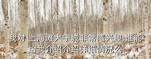 我對(duì) 上海灘大寧城非常感興趣,誰能給我介紹介紹詳細(xì)情況么