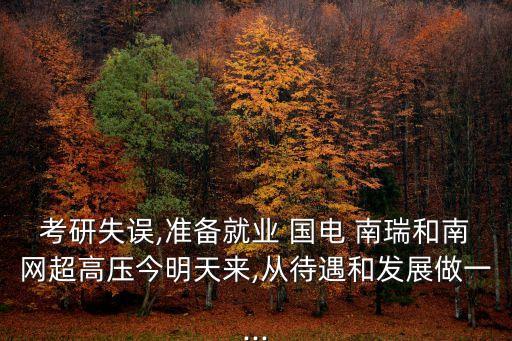 國(guó)電南瑞集團(tuán)子公司,南瑞集團(tuán)在北京的子公司