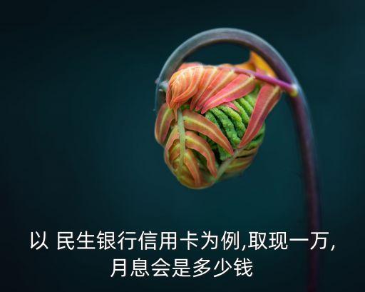 以 民生銀行信用卡為例,取現(xiàn)一萬,月息會(huì)是多少錢