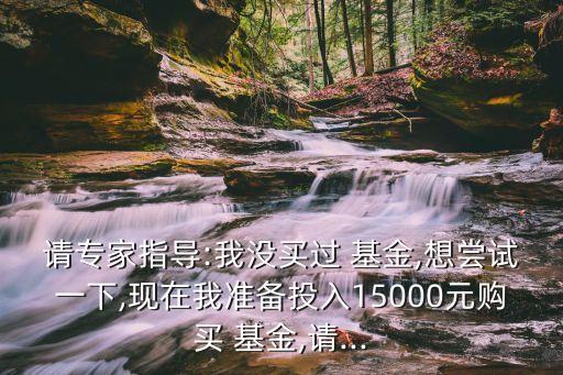 請專家指導(dǎo):我沒買過 基金,想嘗試一下,現(xiàn)在我準備投入15000元購買 基金,請...