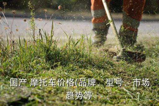 國產(chǎn) 摩托車價格(品牌、型號、市場趨勢等