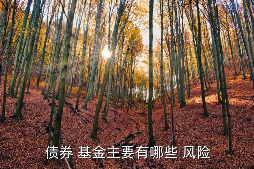  債券 基金主要有哪些 風(fēng)險(xiǎn)