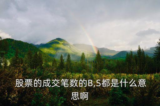  股票的成交筆數的B,S都是什么意思啊