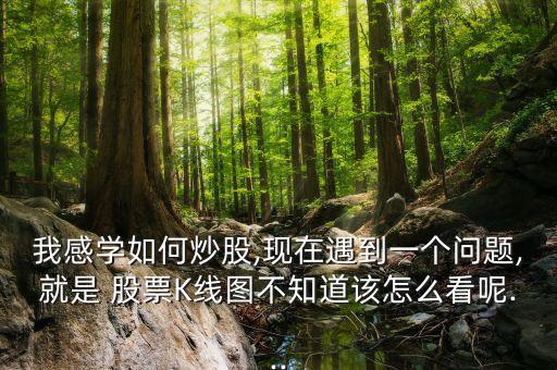 我感學如何炒股,現(xiàn)在遇到一個問題,就是 股票K線圖不知道該怎么看呢...