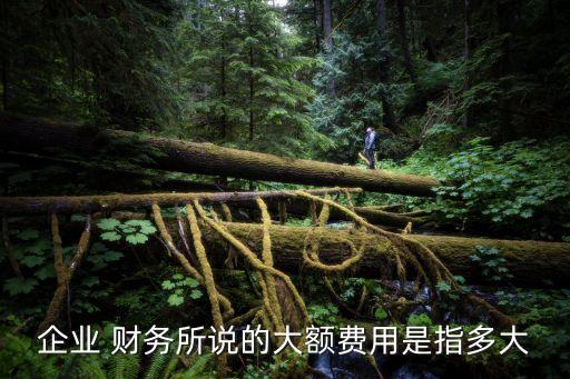 財務公司結(jié)售匯