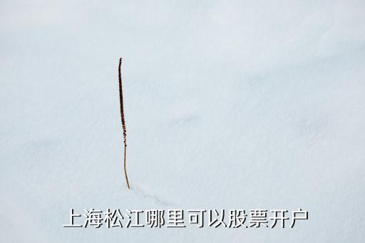  上海松江哪里可以股票開(kāi)戶(hù)