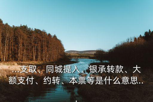 ...支取、同城提入、銀承轉(zhuǎn)款、大額支付、約轉(zhuǎn)、本票等是什么意思...