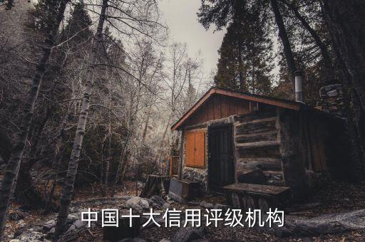 中國十大信用評級機(jī)構(gòu)