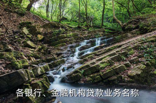 各銀行、金融機構貸款業(yè)務名稱