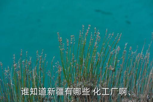 誰(shuí)知道新疆有哪些 化工廠啊、