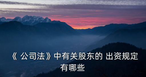 《 公司法》中有關(guān)股東的 出資規(guī)定有哪些