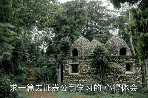 求一篇去證券公司學習的 心得體會