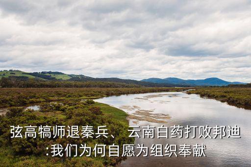 弦高犒師退秦兵、 云南白藥打敗邦迪:我們?yōu)楹巫栽笧榻M織奉獻(xiàn)