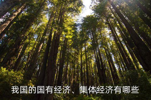 我國(guó)的國(guó)有經(jīng)濟(jì)、集體經(jīng)濟(jì)有哪些