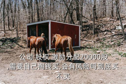  公司 股權(quán) 激勵分配20000股,需要自己掏錢買,會有風(fēng)險嗎到底買不買