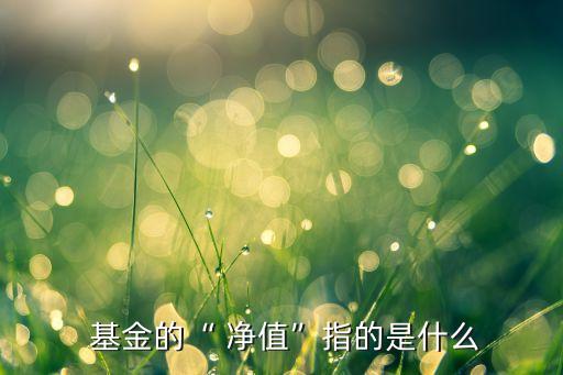  基金的“ 凈值”指的是什么
