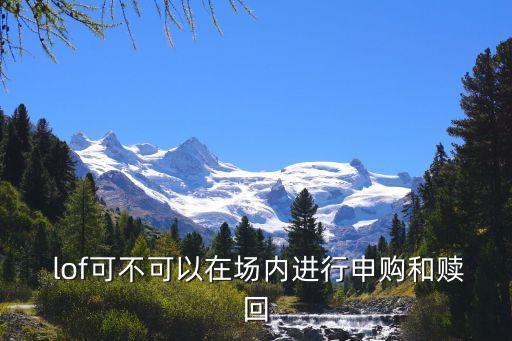  lof可不可以在場內(nèi)進行申購和贖回
