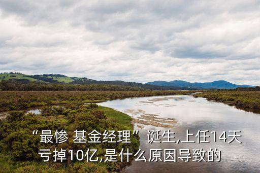 “最慘 基金經理”誕生,上任14天虧掉10億,是什么原因導致的