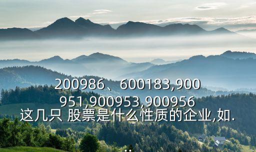 200986、600183,900951,900953,900956這幾只 股票是什么性質(zhì)的企業(yè),如...