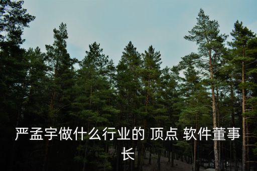 嚴(yán)孟宇做什么行業(yè)的 頂點(diǎn) 軟件董事長